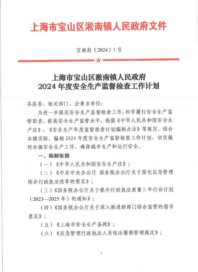 宝淞府【2024】1号.pdf