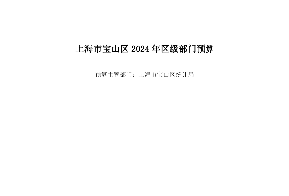 宝山区统计局2024年部门预算.pdf