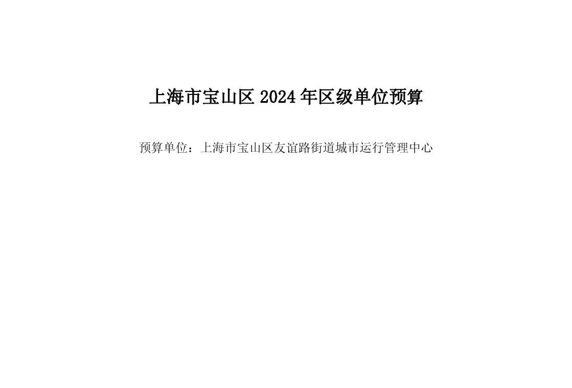 宝山区友谊路街道城市运行管理中心2024年单位预算.pdf