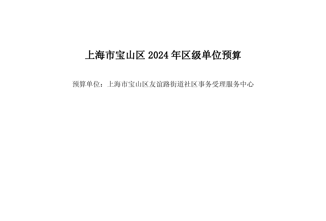 宝山区友谊路街道社区事务受理服务中心2024年单位预算.pdf