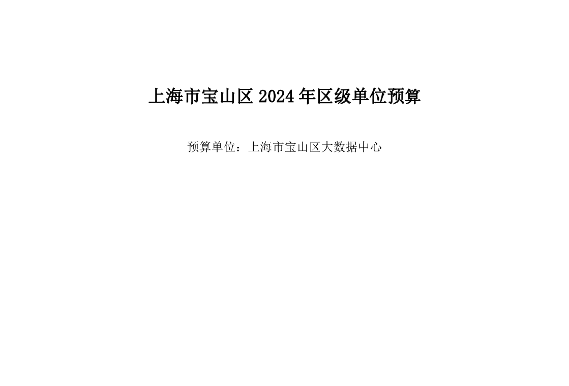 宝山区大数据中心2024年单位预算.pdf