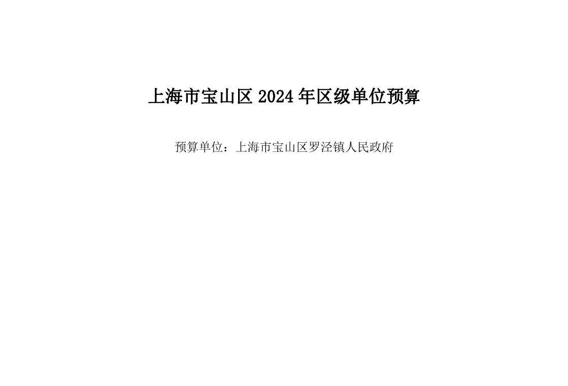 宝山区罗泾镇人民政府2024年单位预算公开.pdf