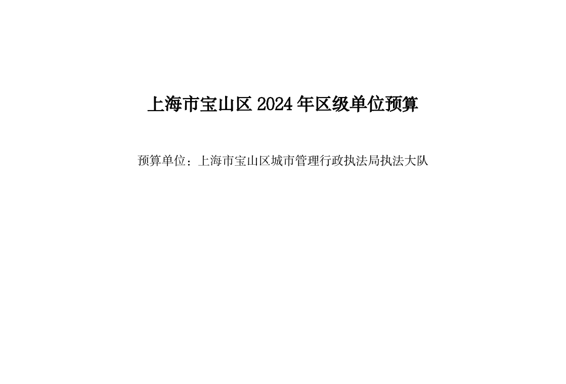 宝山区2024年城管执法局执法大队单位预算公开.pdf