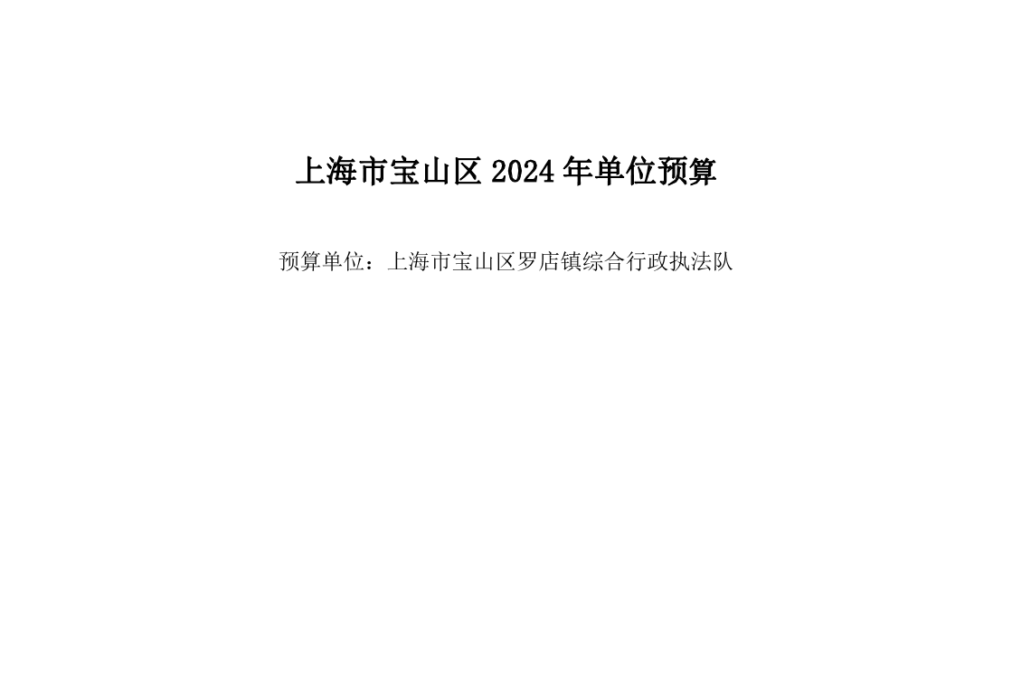 宝山区罗店镇综合行政执法队2024年单位预算.pdf