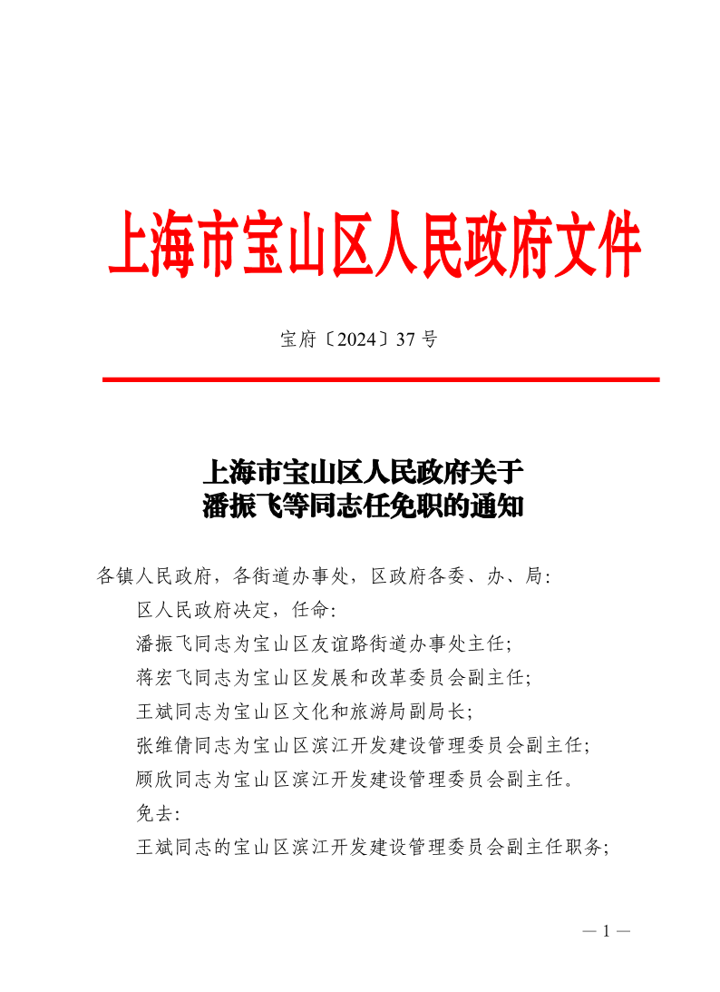 37号—上海市宝山区人民政府关于潘振飞等同志任免职的通知.pdf