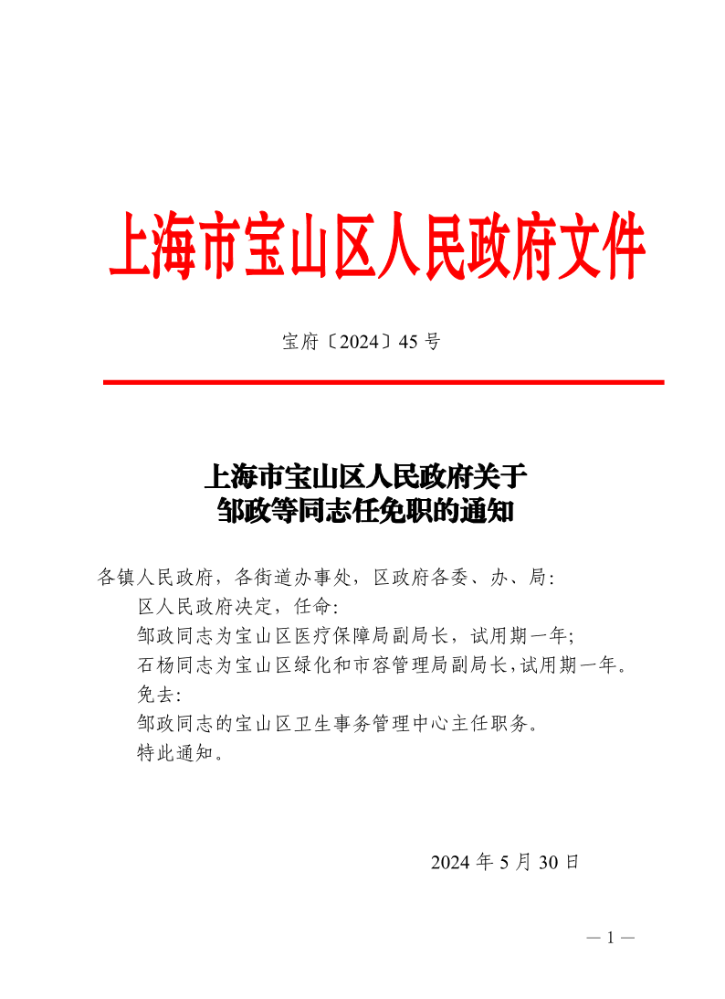 45号—上海市宝山区人民政府关于邹政等同志任免职的通知.pdf