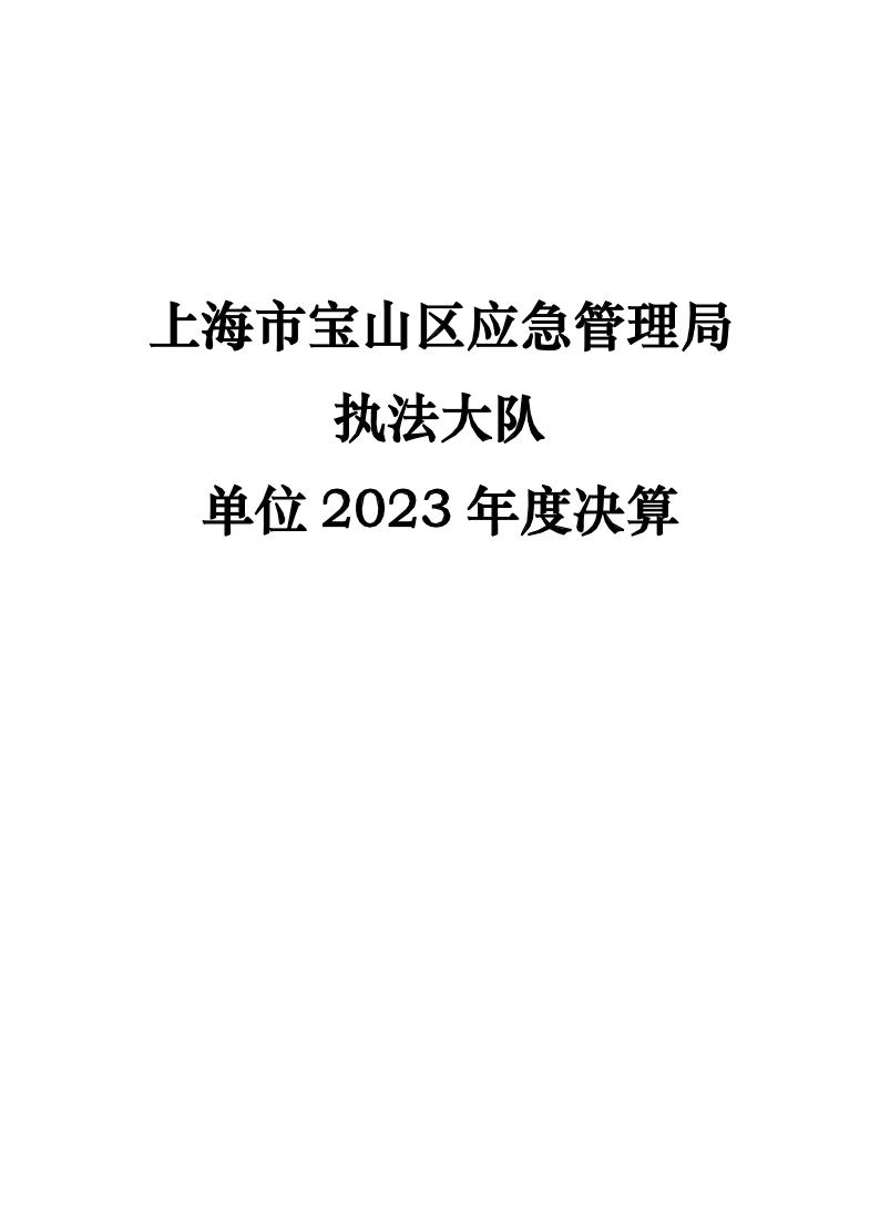 上海市宝山区应急管理局执法大队2023年度决算.pdf