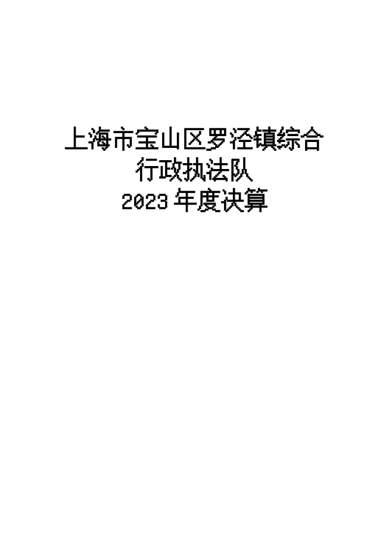 上海市宝山区罗泾镇综合执法队2023年度单位决算公开.pdf